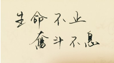 猎物